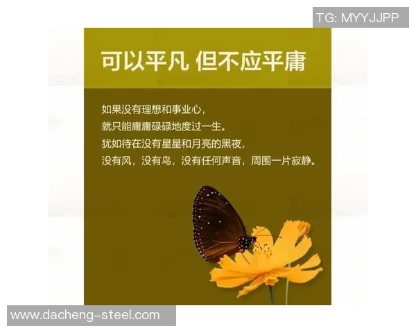 贾诚的奋斗历程与人生哲学探索：从平凡到卓越的心路历程