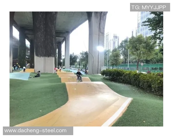 成都极限运动队技术探讨与创新发展之路聚焦极限运动的未来挑战与机遇MBA