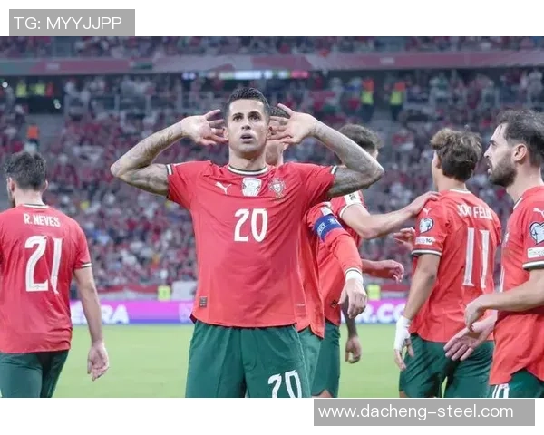 葡萄牙与匈牙利精彩对决集锦回顾赛场瞬间尽显足球魅力