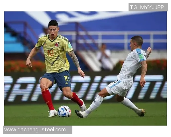 韩国与哥伦比亚足球赛观众热情高涨引发热烈讨论