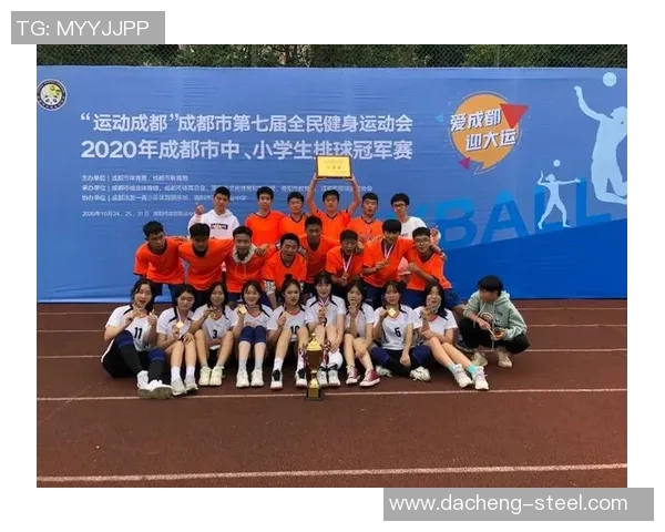 成都排球队灵活性分析与提升策略探讨MBA