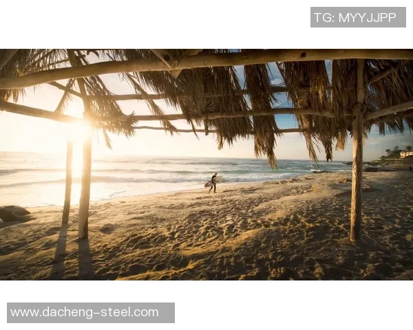 极限运动战术解析：杭州极限运动队的防守反击体系探讨与实践MBA