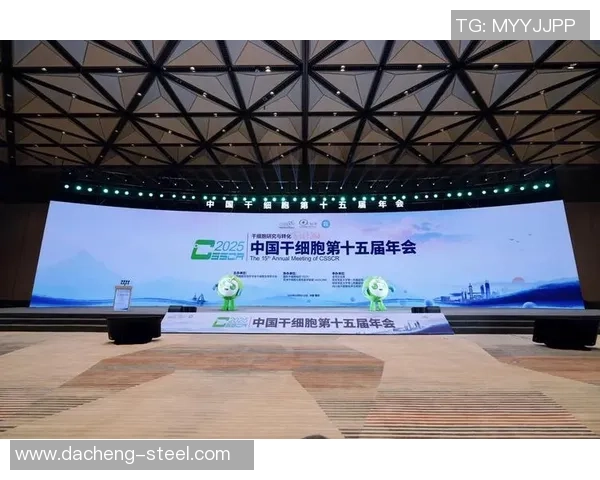 重庆乒乓球队速度之争引发热议球迷与专家各执己见的背后故事