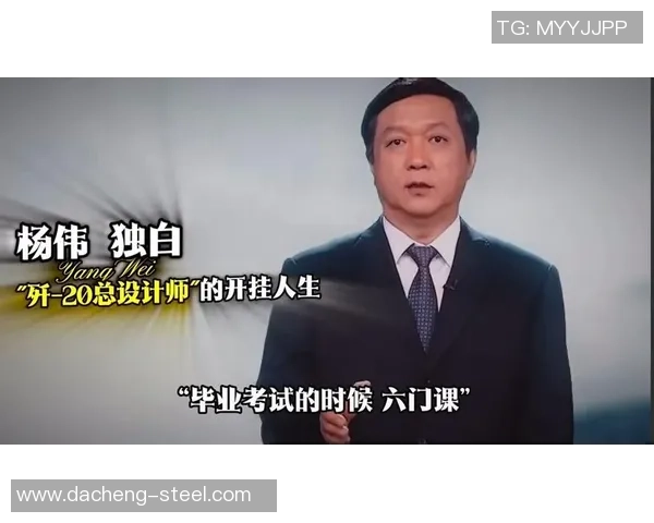与排球传奇杨伟的深度对话回顾他的辉煌职业生涯与心路历程
